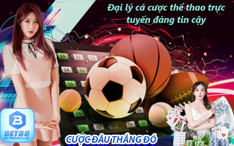 Thể thao bet88 cung cấp các dịch vụ gì?